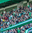 Torcida da Chapecoense Foto: Esporte News Mundo