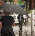 Foto: Brenda Rodrigues/CMPA / Porto Alegre 24 horas