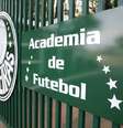 Academia de Futebol Foto: Academia de Futebol, CT do Palmeiras ( César Greco/SEP) / Gávea News