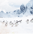 Antartica  Foto: Shutterstock / Xataka