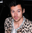 Pão de queijo, mercado gourmet e corrida no parque urbano mais visitado da América Latina: o que Harry Styles fez por São Paulo antes dos shows.  Foto: Getty Images / Purepeople