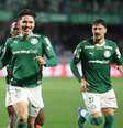 Mauricio comemora gol pelo Palmeiras  Foto: JOÃO HEIM/ZIMEL PRESS / Estadão