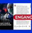 OMS não pediu que o mundo se prepare para "surto brutal" de ebola Foto: Reprodução/Instagram / Estadão
