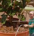 Jardineiros especialistas concordam: "regar as plantas às três da tarde é como despejar um balde de água fervente sobre elas" Foto: Xataka