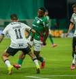 Palmeiras perdeu para o Galo neste domingo, 25  Foto: YURI MURAKAMI/FOTOARENA/ESTADÃO CONTEÚDO