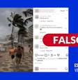 Captura de tela da postagem verificada Foto: Reprodução/Instagram / Estadão