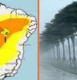 Inmet alerta para perigo de vendaval em 36 cidades de Pernambuco; veja quais Foto: Portal de Prefeitura