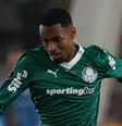 Allan pelo Palmeiras  Foto: ( Cesar Greco/Palmeiras) / Gávea News