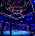 UFC Belgrado aconteceu neste sáb ado Foto: Divulgação/X Oficial do UFC / Esporte News Mundo