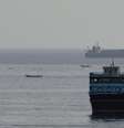 Embarcações no Estreito de Ormuz, vistas de Musandam, Omã, em 3 de agosto de 2026.  Foto: REUTERS - Stringer / RFI