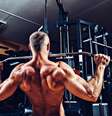 Um treino equilibrado de costas e bíceps ajuda a desenvolver força, postura e definição muscular Foto: Shutterstock / Sport Life