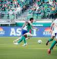 Foto: Palmeiras x Fortaleza no primeiro jogo da Copa do Brasil 2026 - Mateus Lotif/Fortaleza / Gávea News