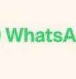 Meta atualiza quais sistemas operacionais irão rodar o WhatsApp. Foto: Reprodução/ Meta