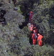 Bombeiros fazem buscas em área de queda de helicóptero no Rio  Foto: Reprodução/TV Globo