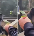 Vídeo do momento da agressão circula nas redes sociais  Foto: Reprodução/Instagram/@ovictorbiologo