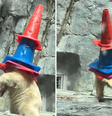 Filhote de urso-polar chamou atenção dos visitantes de um aquário no Japão ao brincar com cones de trânsito.  Foto: Reprodução/ Redes Sociais