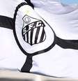 Foto: Bandeira do Santos ( Pedro Ernesto Guerra Azevedo/Santos FC) / Gávea News