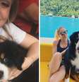 Angélica se emociona com a morte de cachorro da família: ‘Nosso grandão vai fazer muita falta’  Foto: Reprodução/Instagram