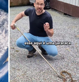 Cobra mais perigosa do Brasil é encontrada em região residencial de SC e capturada por biólogo  Foto: Reprodução/Instagram