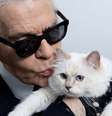Choupette com Karl Lagerfeld: a 'filha' do lendário estilista da Chanel está à espera da fortuna  Foto: Reprodução/@choupetteofficiel