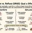Qual a diferença entre refluxo e gastrite Foto: SaúdeLAB