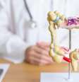 Veja os perigos dos pólipos intestinais  Foto: Shutterstock / Saúde em Dia