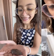 Alice, de Ponta Grossa (PR), cria animais encontrados no quintal Foto: Reprodução/Tiktok