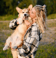Os cachorros utilizam principalmente a linguagem corporal para se comunicar  Foto: Yury Nikolaev | Shutterstock / Portal EdiCase