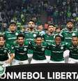 Time do Palmeiras na Libertadores (Foto: Reprodução/Palmeiras)  Foto: Time do Palmeiras na Libertadores ( Reprodução/Palmeiras) / Gávea News