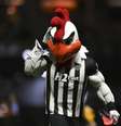 Galo Doido, mascote do Atlético-MG   Foto: Pedro Vilela/Getty Images / Esporte News Mundo
