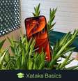Atualização do iOS 27: dicas antes de atualizar, como atualizar passo a passo e celulares compatíveis Foto: Xataka