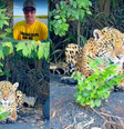 'Já vi várias vezes a onça-pintada, mas toda vez é a mesma emoção', afirmou ele Foto: Reprodução