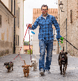 A função de dog walker exige habilidades importantes para conduzir os cães com segurança nos passeios Foto: SB Arts Media | Shutterstock / Portal EdiCase