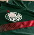 Leapmotor já possui contrato com o Verdão e tem sua marca estampada nas costas do uniforme - Foto: Divulgação/Palmeiras / Jogada10