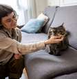 Cat Sitter 1 Foto: shutter / Xataka