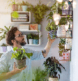 As plantas potencializam a sensação de proteção, cuidado, sorte e prosperidade no lar Foto: pikselstock | Shutterstock / Portal EdiCase