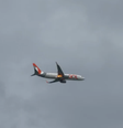Avião da Gol colide com pássaro e tem que voltar ao Aeroporto Internacional de Recife (PE) Foto: Reprodução / X