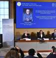 Halzen falou com o comitê por telefone: "Foi uma grande surpresa e, obviamente, eu não esperava por isso" Foto: DW / Deutsche Welle