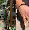 Macaco-prego invade casas na Bahia, ingere álcool e deixa feridos antes de ser capturado pela Polícia  Foto: Divulgação/PMBA/COPPA
