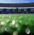 Foto: Estádio Nilton Santos ( Vítor Silva/SSPress/Botafogo) / Gávea News