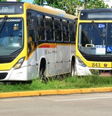 Linha de ônibus no Grande Recife  Foto: Divulgação/Paulo Maciel/CTM / Portal de Prefeitura