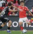 Benfica durante treinamento durante a semana –  Foto: Divulgação / SL Benfica / Jogada10
