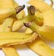Descubra como os benefícios da casca de banana podem ajudar sua saúde ocular, hormonal e intestinal, além de aprender receitas para a rotina Foto: Canva Equipes/Golib / Bons Fluidos
