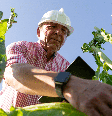 A formação do engenheiro agrônomo combina conhecimentos de ciências agrárias, gestão e inovação Foto: Eloy Vidal Segura | Shutterstock / Portal EdiCase