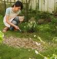 Aprenda a criar um jardim lindo e funcional em quintais pequenos! Confira as dicas valiosas da arquiteta Cilene Lupi para otimizar o espaço sem erro Foto: Canva Equipes/Aflo Images de Aflo / Bons Fluidos