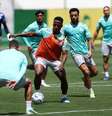 Palmeiras segue vivo em três competições na reta final da temporada –  Foto: Cesar Greco/Palmeiras / Jogada10