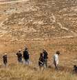 Colonos israelenses na Cisjordânia ocupada, em 6 de outubro de 2026. (Imagem ilustrativa)  Foto: REUTERS - NAAMA STERN / RFI