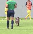 Apesar da cena inusitada, Vasco segurou o resultado e venceu o Madureira - Foto: Reprodução/Vasco TV / Jogada10