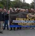 Motoristas de ônibus fazem greve e mais de 200 mil passageiros são afetados em SP  Foto: Reprodução/TV Globo
