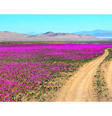 Desierto Florido Foto: Xataka